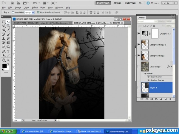 Creation of Whispering....: Step 10